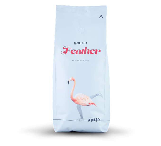 Birds Of A Feather Coffee Beans 1kg