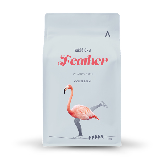 Birds Of A Feather Coffee Beans 500g
