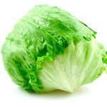 Lettuce Iceberg Ea
