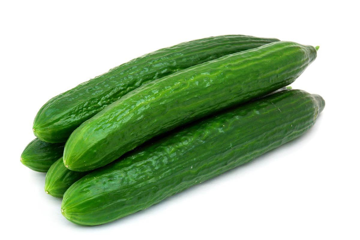 Cucumber Continental Ea