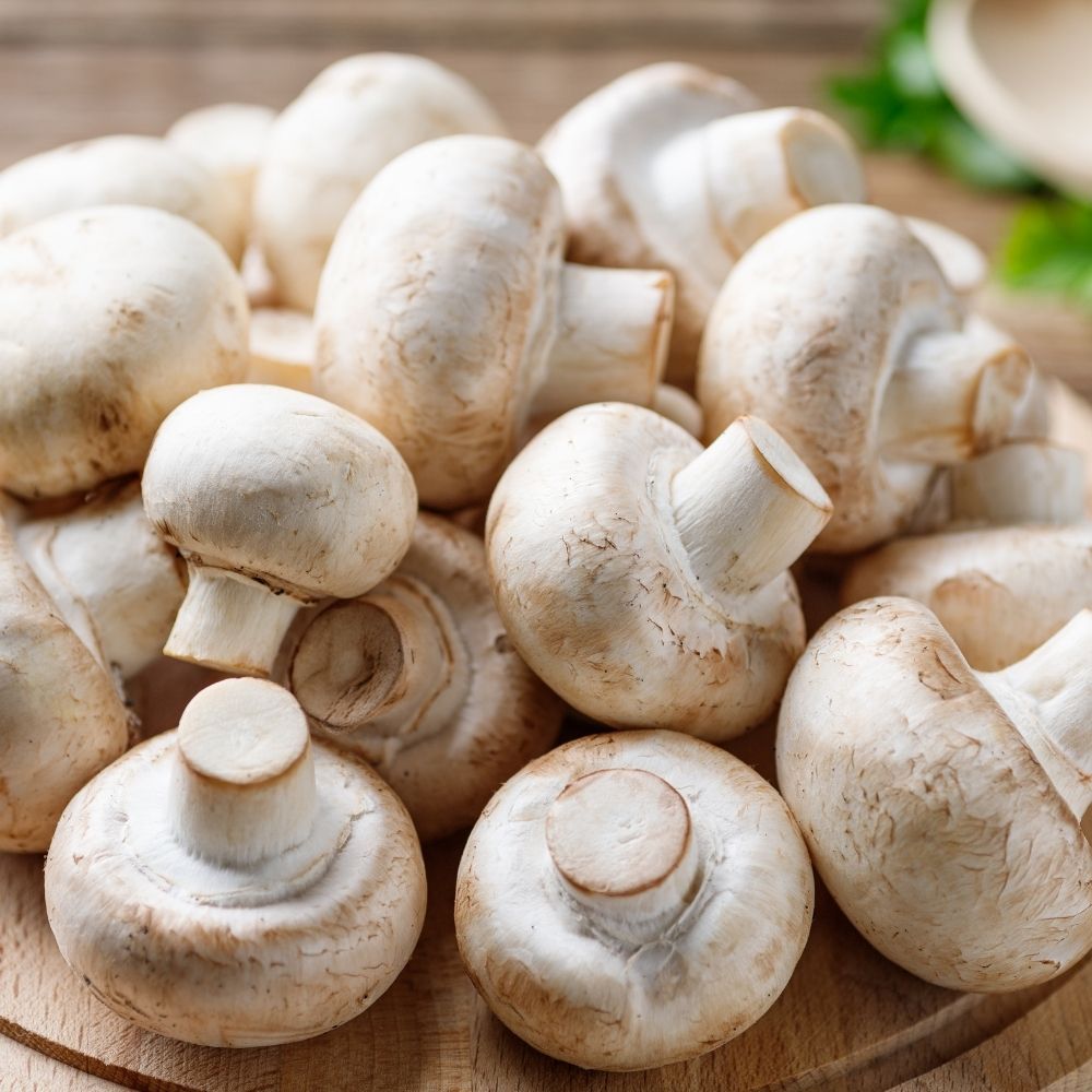 Mushroom Cup 200g Pack